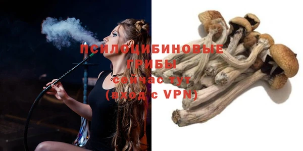 сатива Няндома