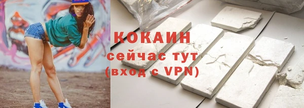 сатива Няндома