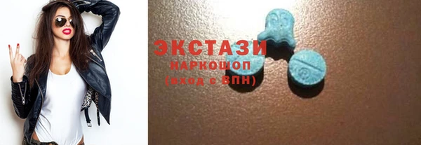 сатива Няндома