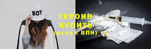сатива Няндома