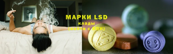 герыч Осинники