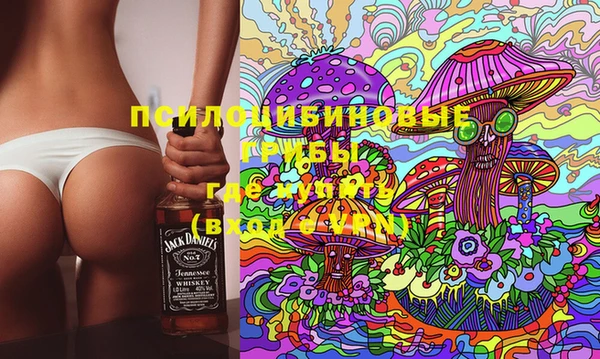 дмт Новозыбков