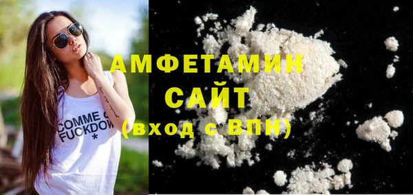 сатива Няндома