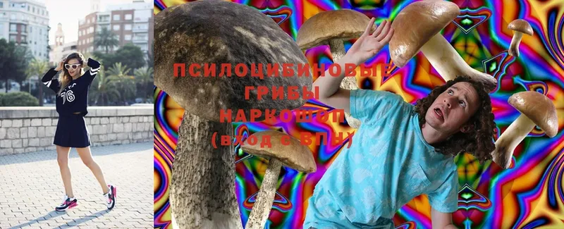 Галлюциногенные грибы Magic Shrooms Калач